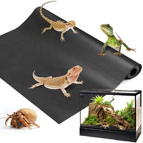 ملحقات خزان التنين الملتحي، ركيزة بطانة تررم الزواحف للتنين الملتحي، العنكبوت القفز، أبو بريص الفهد، سرطان الناسك، أبو بريص، الكرة بايثون، سحلية (78.7 بوصة) in Kuwait