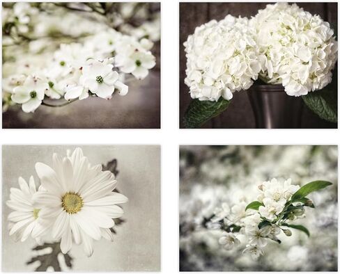 مطبوعات صور زهور بيضاء اللون باللون البيج والبني من Shabby Chic - مجموعة من 4 صور صغيرة مقاس 5x7 بوصة غير مؤطرة - فن نباتي - صور زهور طبيعية للحمام وغرفة النوم وديكور حائط الحضانة in Kuwait