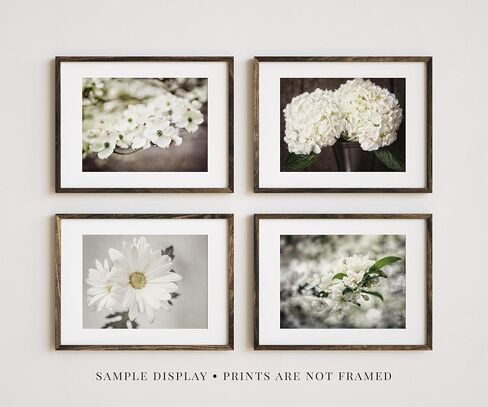 مطبوعات صور زهور بيضاء اللون باللون البيج والبني من Shabby Chic - مجموعة من 4 صور صغيرة مقاس 5x7 بوصة غير مؤطرة - فن نباتي - صور زهور طبيعية للحمام وغرفة النوم وديكور حائط الحضانة in Kuwait