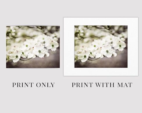 Shabby Chic Beige Brown Off White Flower Photo Prints - Set of 4 SMALL 5x7" Unframed - Botanical Art - Country Nature Floral Pictures For Bathroom, Bedroom, Nursery Wall Decor in Kuwait