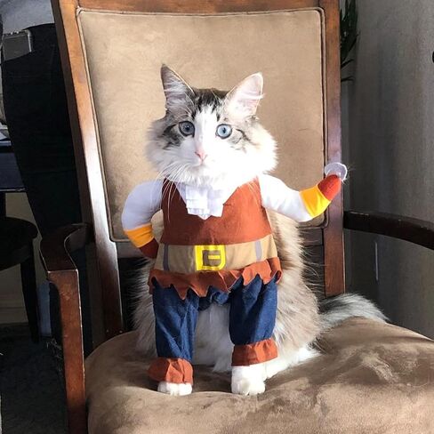 Funny Cat Pirate Costumes - Caribbean Style Pet Dressing up Cosplay Party Costume with Hat Small to Medium Dogs Cats Kitty Cute Fashion Prop Apparel for Halloween Christmas Party Accessories (S) in Saudi Arabia