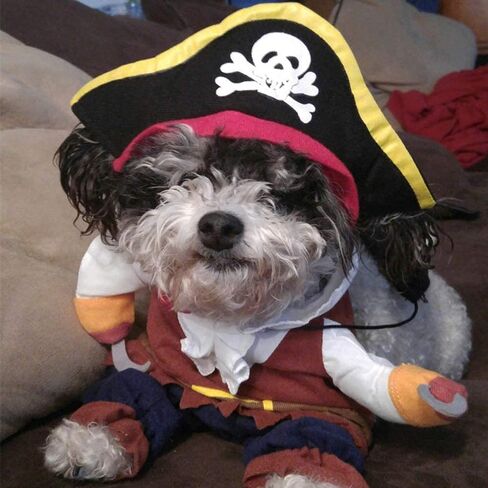 Funny Cat Pirate Costumes - Caribbean Style Pet Dressing up Cosplay Party Costume with Hat Small to Medium Dogs Cats Kitty Cute Fashion Prop Apparel for Halloween Christmas Party Accessories (S) in Saudi Arabia