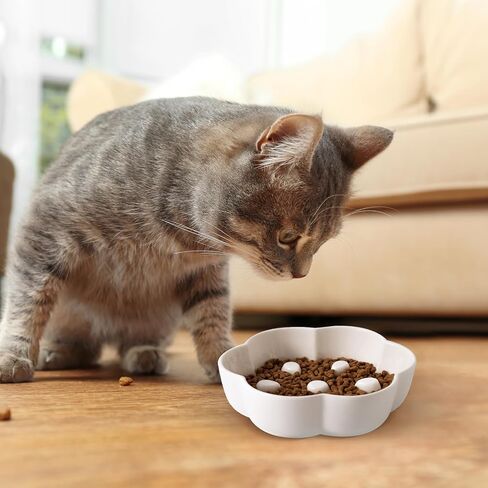 وعاء تغذية بطيء للقطط من السيراميك شديد التحمل، أطباق ضحلة وواسعة للقطط، طبق تغذية على شكل زهرة لطيفة وخالي من الإجهاد للقطط الصغيرة والحيوانات الأليفة الجافة والرطبة in Kuwait