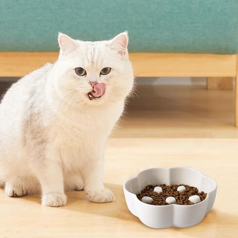 وعاء تغذية بطيء للقطط من السيراميك شديد التحمل، أطباق ضحلة وواسعة للقطط، طبق تغذية على شكل زهرة لطيفة وخالي من الإجهاد للقطط الصغيرة والحيوانات الأليفة الجافة والرطبة in Kuwait