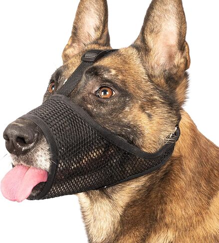 LUCKYPAW Dog Muzzle, Mesh Muzzle for Large Medium Small Dogs, Soft Dog Muzzle to Prevent Biting Chewing with Adjustable Head Strap, Allows Panting and Drinking, Perfect for Vet Visit in Saudi Arabia