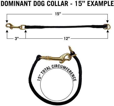 Nylon Dominant Dog Choke Collar Black, 18 inch in Saudi Arabia