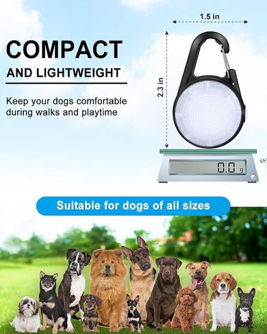 Dog Lights for Night Walking - 2 Pack 4 Modes Dog Collar Light, Rechargeable Dog Walking Light for Nighttime Clip On, IP68 Waterproof Durable Dogs Safety Light (Black) in Saudi Arabia