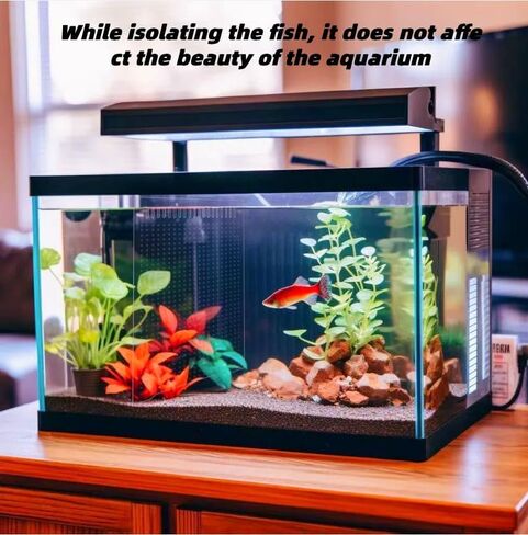 ONE Set Clear Fish Tank Divider Board (Include Suction Cups) DIY Designed Easy to Cut and Assemble for 5 Gallon or 10 Gallon Tank 11.8inch*11.8 inch (White Protective Film) in Saudi Arabia