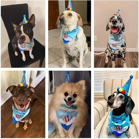 Agirlvct Dog Birthday Party Supplies, Boy Dog Puppy Theme Birthday Decorations,Dog Birthday Hat/Bow Tie/Bandana/Banner for Small Medium Large Dog(Blue) in Saudi Arabia