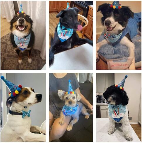Agirlvct Dog Birthday Party Supplies, Boy Dog Puppy Theme Birthday Decorations,Dog Birthday Hat/Bow Tie/Bandana/Banner for Small Medium Large Dog(Blue) in Saudi Arabia
