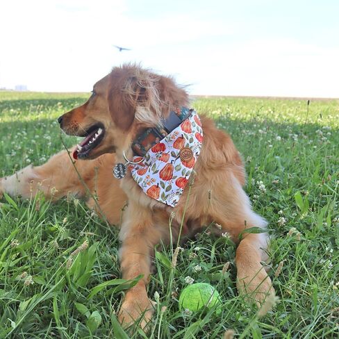 CROWNED BEAUTY Fall Dog Bandanas Reversible Large 2 Pack, Pumpkin Parade Set, Plaid Adjustable Triangle Holiday Scarves for Medium Large Extra Large Dogs Boy Girl Pets DB122-L in Saudi Arabia