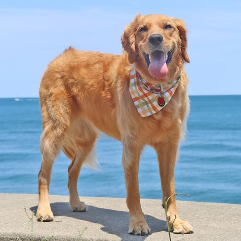 CROWNED BEAUTY Fall Dog Bandanas Reversible Large 2 Pack, Pumpkin Parade Set, Plaid Adjustable Triangle Holiday Scarves for Medium Large Extra Large Dogs Boy Girl Pets DB122-L in Saudi Arabia