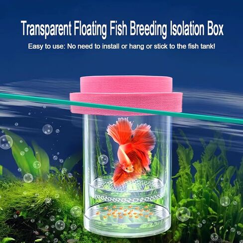 صندوق عزل لتربية الأسماك العائمة لخزان حوض السمك، صندوق تربية حاضنة التفريخ الشبكي البلاستيكي لأسماك الأطفال بيتا والروبيان كلوونفيش غوبي (أزرق، متوسط) in Kuwait