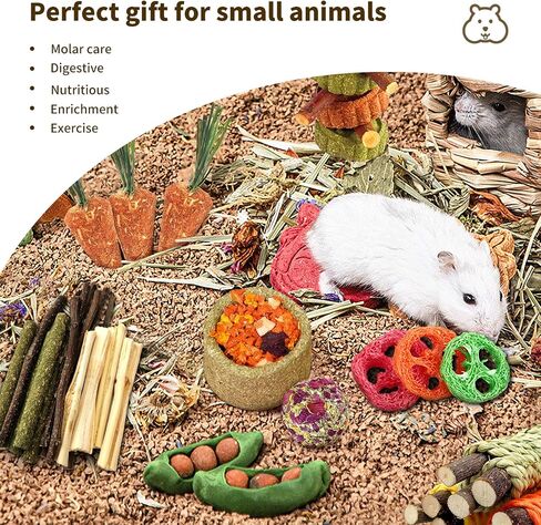 29PCS Bunny Chew Toys,Natural Timothy Hay Carrot Hamster Natural Treats and Chew Accessories for Rabbit Bunny Guinea Pig Hamster Gerbil and Other Small Animals Molar Snacks in Saudi Arabia