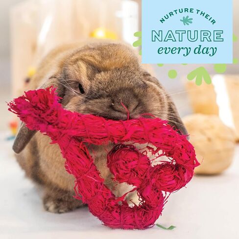 Oxbow Enriched Life Celebration Bouquet - Small Pet Toy - Great for Guinea Pigs, Rabbits, and Other Small Animals in Saudi Arabia