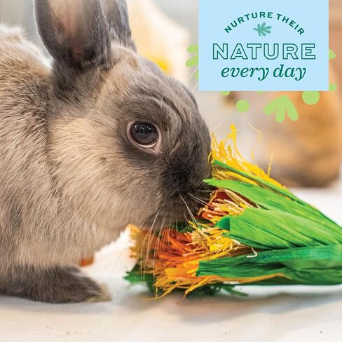 Oxbow Enriched Life Celebration Bouquet - Small Pet Toy - Great for Guinea Pigs, Rabbits, and Other Small Animals in Saudi Arabia