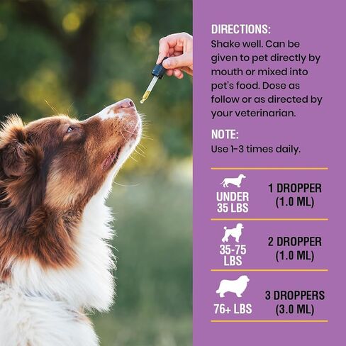 Yeast Infection Treatment for Dogs - Soothing Itch Relief, Ear Infection Treatment, Reduces Irritation & Inflammation, 2 oz in Saudi Arabia