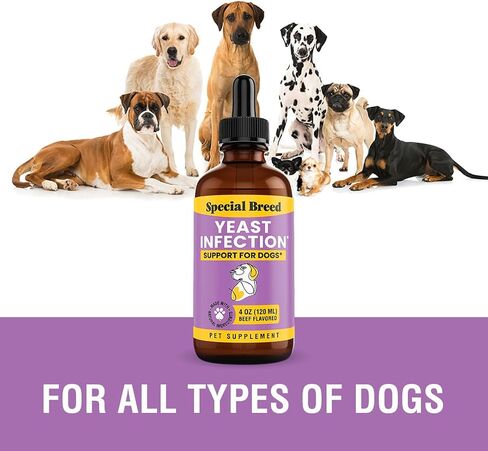 Yeast Infection Treatment for Dogs - Soothing Itch Relief, Ear Infection Treatment, Reduces Irritation & Inflammation, 2 oz in Saudi Arabia