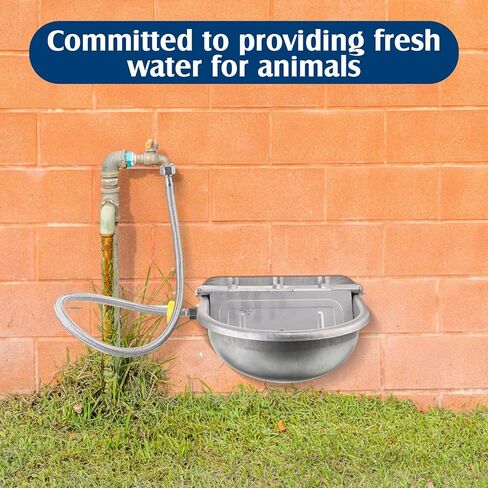 jinei 6 مجموعات سقي أوتوماتيكي للماشية التلقائي وعاء مياه الشرب الحيوان مع صمام تعويم الفولاذ المقاوم للصدأ حوض المياه الكلب موزع المياه للماشية خنزير الأغنام كلب أليف in Kuwait