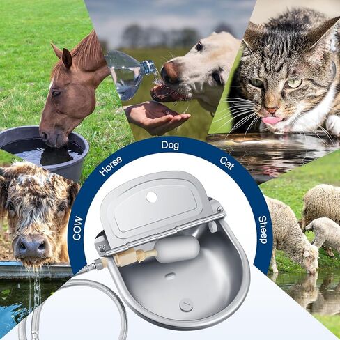 jinei 6 مجموعات سقي أوتوماتيكي للماشية التلقائي وعاء مياه الشرب الحيوان مع صمام تعويم الفولاذ المقاوم للصدأ حوض المياه الكلب موزع المياه للماشية خنزير الأغنام كلب أليف in Kuwait