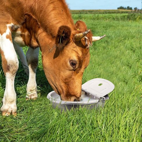 jinei 6 مجموعات سقي أوتوماتيكي للماشية التلقائي وعاء مياه الشرب الحيوان مع صمام تعويم الفولاذ المقاوم للصدأ حوض المياه الكلب موزع المياه للماشية خنزير الأغنام كلب أليف in Kuwait