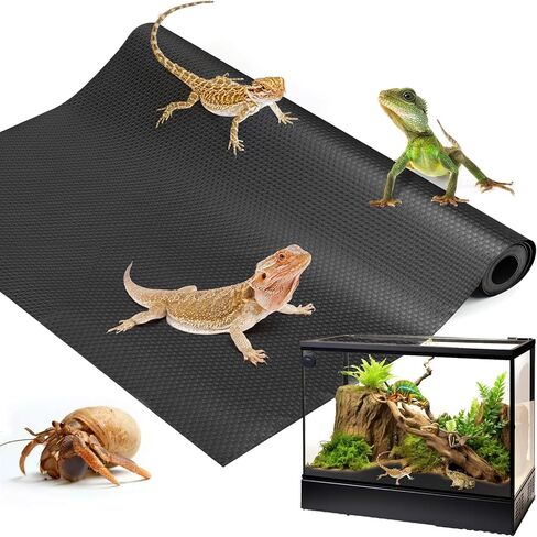 ملحقات خزان التنين الملتحي، ركيزة بطانة تررم الزواحف للتنين الملتحي، العنكبوت القفز، أبو بريص الفهد، سرطان الناسك، أبو بريص، الكرة بايثون، سحلية (78.7 بوصة) in Kuwait