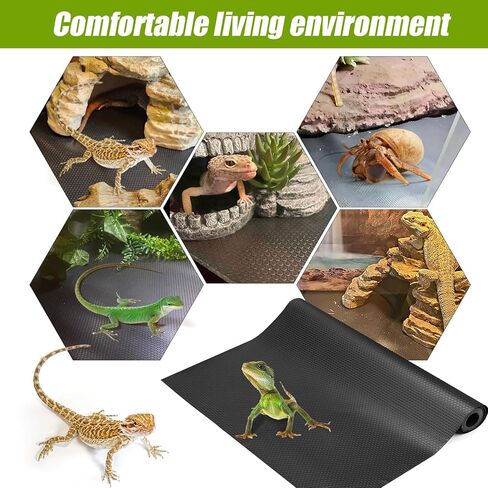 ملحقات خزان التنين الملتحي، ركيزة بطانة تررم الزواحف للتنين الملتحي، العنكبوت القفز، أبو بريص الفهد، سرطان الناسك، أبو بريص، الكرة بايثون، سحلية (78.7 بوصة) in Kuwait