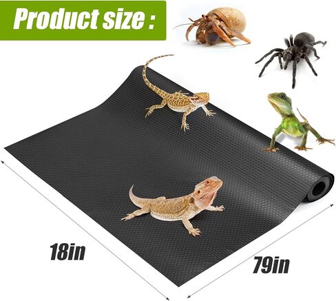 ملحقات خزان التنين الملتحي، ركيزة بطانة تررم الزواحف للتنين الملتحي، العنكبوت القفز، أبو بريص الفهد، سرطان الناسك، أبو بريص، الكرة بايثون، سحلية (78.7 بوصة) in Kuwait