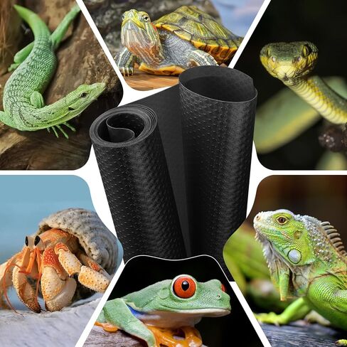 ملحقات خزان التنين الملتحي، ركيزة بطانة تررم الزواحف للتنين الملتحي، العنكبوت القفز، أبو بريص الفهد، سرطان الناسك، أبو بريص، الكرة بايثون، سحلية (78.7 بوصة) in Kuwait