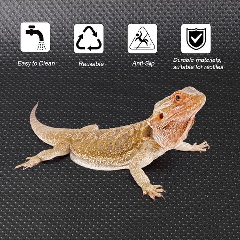 ملحقات خزان التنين الملتحي، ركيزة بطانة تررم الزواحف للتنين الملتحي، العنكبوت القفز، أبو بريص الفهد، سرطان الناسك، أبو بريص، الكرة بايثون، سحلية (78.7 بوصة) in Kuwait