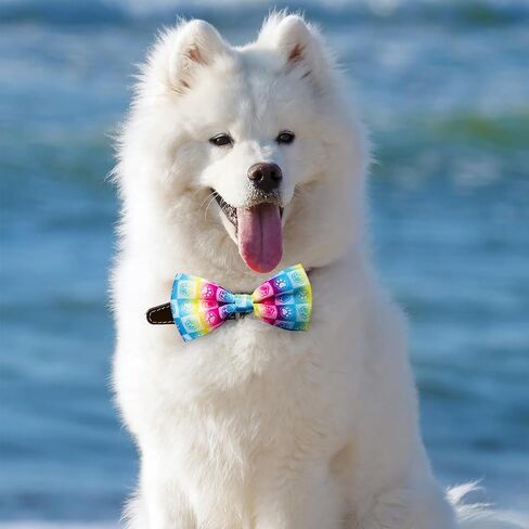PET SHOW Paw Bone Printed Small Dogs Bowties Collar Charms Bows Attachment Medium Large Puppies Cats Accessories Bulk Slides in Saudi Arabia