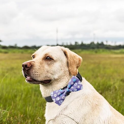 PET SHOW Paw Bone Printed Small Dogs Bowties Collar Charms Bows Attachment Medium Large Puppies Cats Accessories Bulk Slides in Saudi Arabia