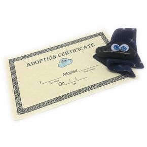 Adopt a Rock Pet with Rehoming Kit (Blue Eyes)