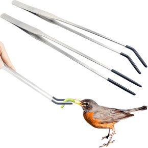 2Pcs Reptile Feeding Tong with Rubber Tip Aquarium Tweezers Stainless Steel Straight Curved Feeding Tong Long Handle Terrarium Feeder Tool for Tank Lizards Bearded Dragon Spider Snake