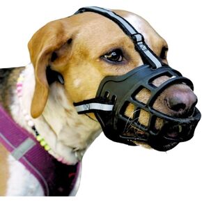 Dog Muzzle– Soft Rubber Basket Muzzle for Small Medium Sized Dogs– Prevents Biting, Scavenging- Dog Muzzle for Large Dogs- Allows Panting, Drinking- Bozales Para Perros- Dog Mouth Guard- Humane Muzzle