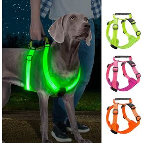 Light Up Dog Harness, Led No Pull Dog Harness with Handle Reflective Glow-in-The-Dark for Night Walking, USB Rechargeable Lighted Vest for Medium Large Dogs, Adjustable Soft Illuminated (Green, XL)