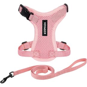 Voyager Step-in Lock Adjustable Cat Harness w. Cat Leash Combo Set with Neoprene Handle 5ft - Supports Small, Medium and Large Breed Cats by Best Pet Supplies - Lime Green, S
