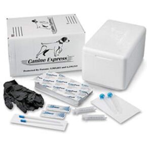 Canine Express Disposable Semen Transport