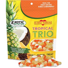 Tropical Trio - Healthy Natural Mixed Dried Fruit Treat - Papaya, Coconut, Pineapple - for Sugar Gliders, Squirrels, Prairie Dogs, Skunks, Marmosets, Parrots, Birds, Rats, Small Pets (4.5 oz.)