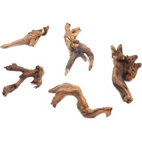 5Pcs Real Natural Driftwood Length 3.93" to 5.9" in Kuwait