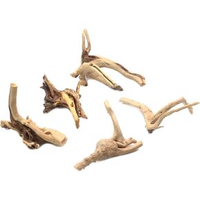 5Pcs Real Natural Driftwood for Aquarium, Aquarium Decor Wood Freshwater Fish Tank Reptile Driftwood Branch Length 3.93" to 5.9"