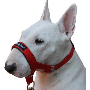 Dog Head Collar Halter Red 6 Sizes (XS: 4"-7" Snout)