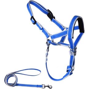 Dog Head Collar with Leash for Walking, No Pull Head Halter for Dogs, Easy Lead Reflective Dog Face Harness with Soft Padding, Adjustable(S, Blue)