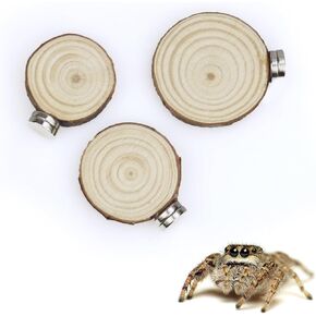 3 Pack Jumping Spider Enclosure Ledges with Magnets for Spoods Jumping Spiders Magnetic Ledge Ladder Pet Spider Accessories