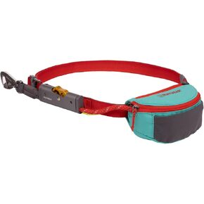 Ruffwear, Hitch Hiker Dog Leash, Adjustable Leash & Hitching System for Camping & Hiking, Aurora Teal