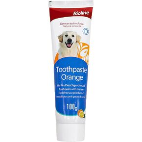 Pets Dental Toothpaste, Toothpaste for Cats & Dogs, Cleans Teeth, Fights Bad Breath, Promotes Strong Teeth, 100g, Mint Flavor