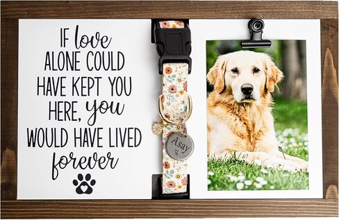 Dog Memorial Gifts for Loss of Dog - Beautiful Dog Collar Memorial Frame - Pet Memorial frame for dog passing away gifts-Versatile Loss of Dog Sympathy Gift -Wood Rainbow Bridge Dog Memorial Gifts in Saudi Arabia