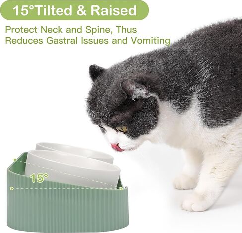 Ceramic Elevated Cat Bowls for Indoor Cats, 15°Tilted Stand Anti Vomiting Raised Cat Food and Water Bowls Set, Raised Cat Bowls with Non-Slip Cat Bowl No Spill Bowl Dishes for Cats and Puppy in Saudi Arabia