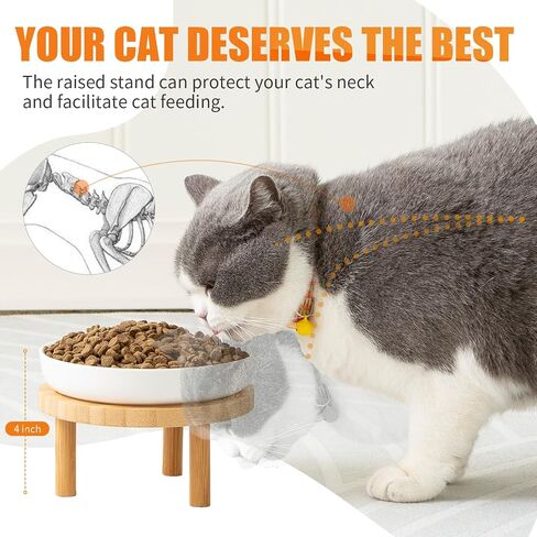 Shallow Elevated Cat Bowls,5.9 Inch Wide Raised Ceramic Cat Dishes with Bamboo Stand, Whisker Friendly Pet Water or Food Plates Feeding Station for Indoor Cats, Kitten(White,Set of 2) in Saudi Arabia