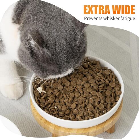 Shallow Elevated Cat Bowls,5.9 Inch Wide Raised Ceramic Cat Dishes with Bamboo Stand, Whisker Friendly Pet Water or Food Plates Feeding Station for Indoor Cats, Kitten(White,Set of 2) in Saudi Arabia